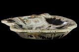 Tropical Hardwood Petrified Wood Bowl - Indonesia #132017-2